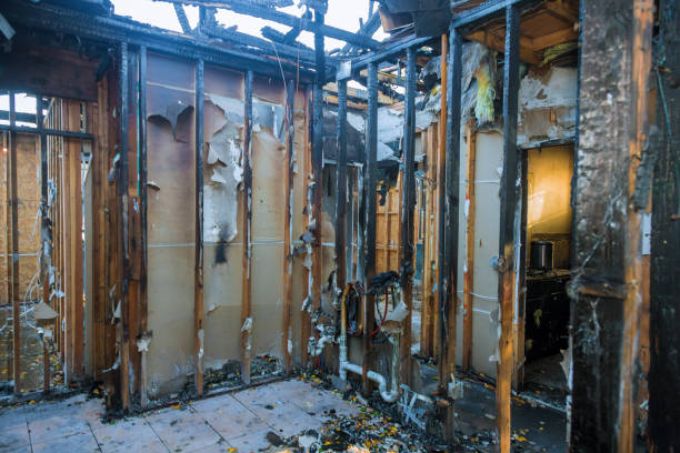 Professional Odor Removal technician working in Lamoni, IA